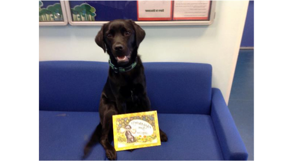 Books and bookbuddies – Rowanfield Primary School